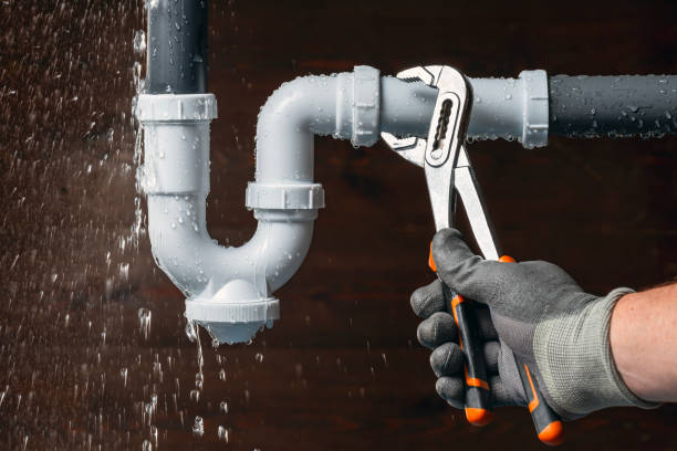 Professional Plumbing technician working in Olmito, TX